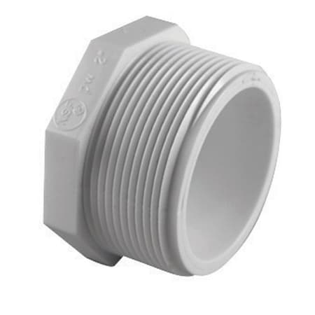 PLUG SCH40 PVC 2 MPT